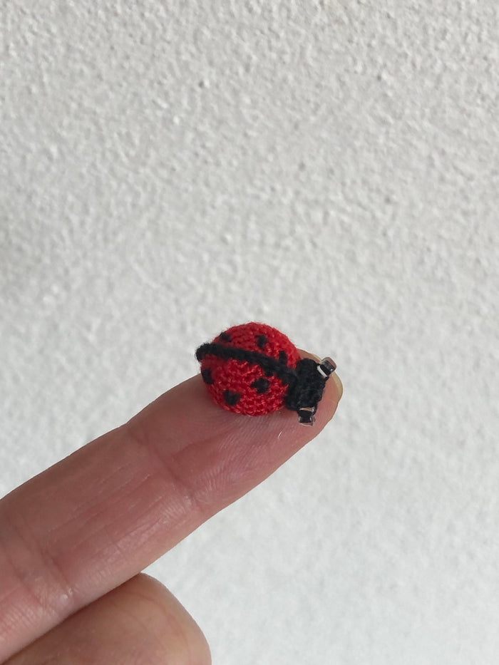 Lil' ladybug