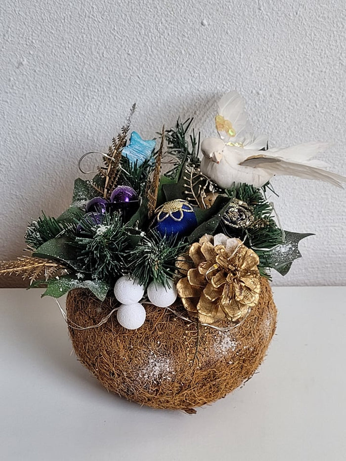 Winter fantasy in a coconut